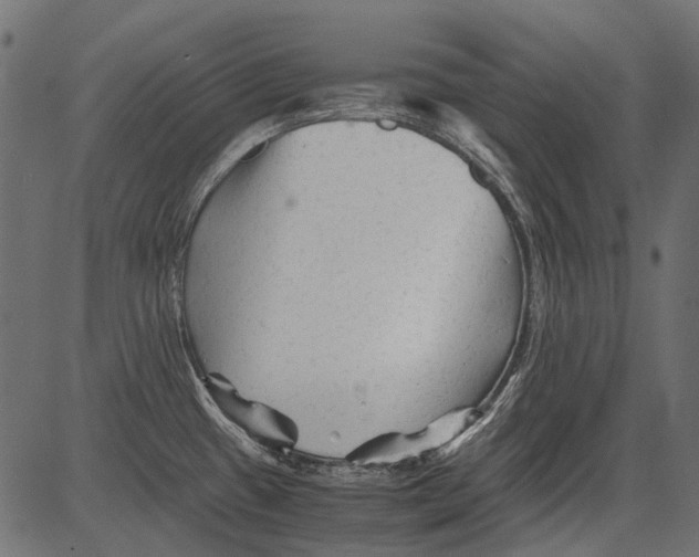 X0000081391433200702020244