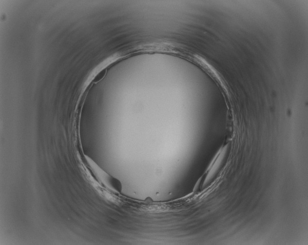 X0000081391434200702020244