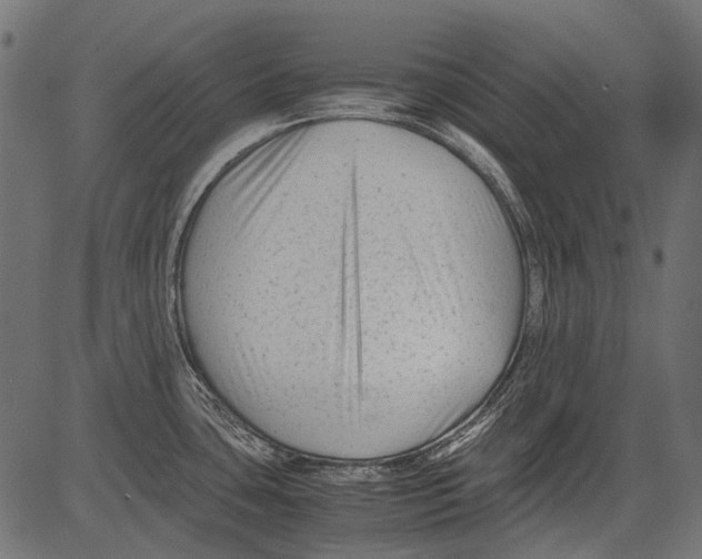 X0000081391435200702020244