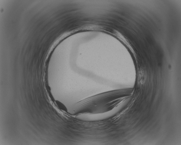 X0000081391437200702020244