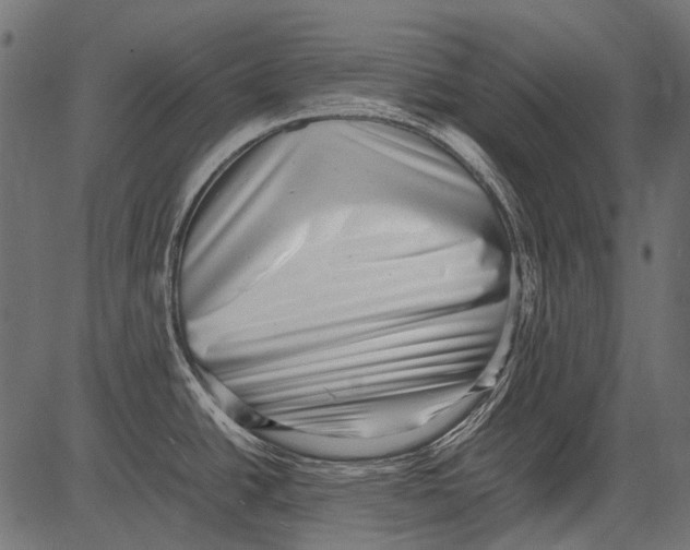 X0000081391438200702020244