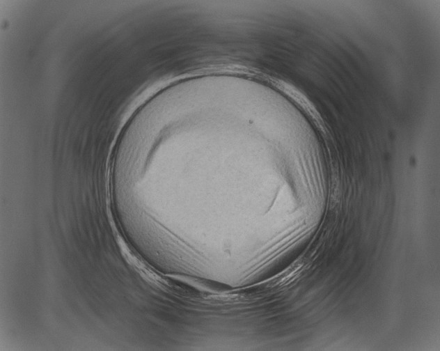 X0000081391439200702020244