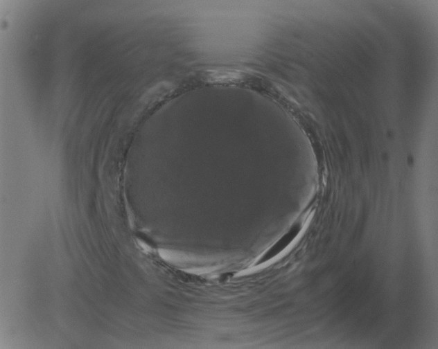 X0000081391441200702020243