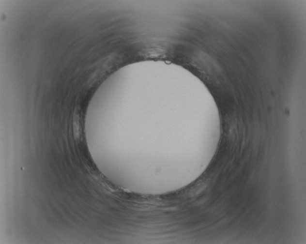 X0000081391442200702020243