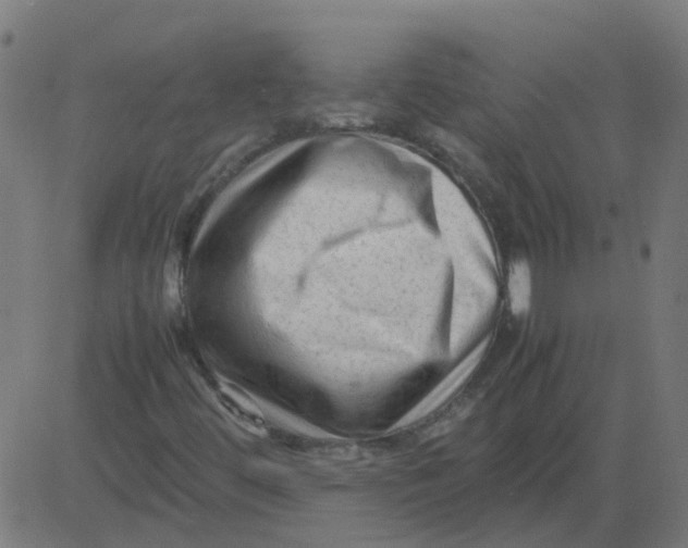 X0000081391444200702020243