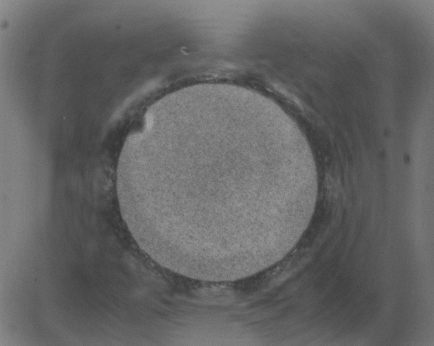 X0000081391447200702020243