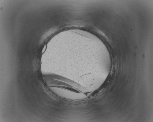 X0000081391448200702020243