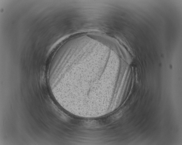 X0000081391452200702020243