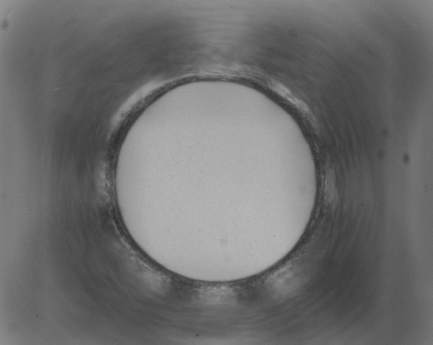 X0000081391454200702020243