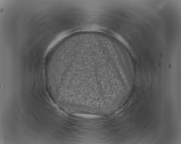 X0000081391456200702020243