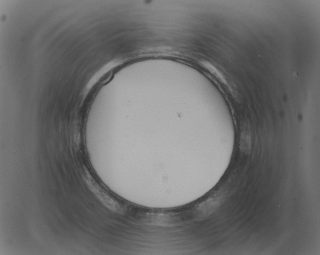 X0000081391458200702020243