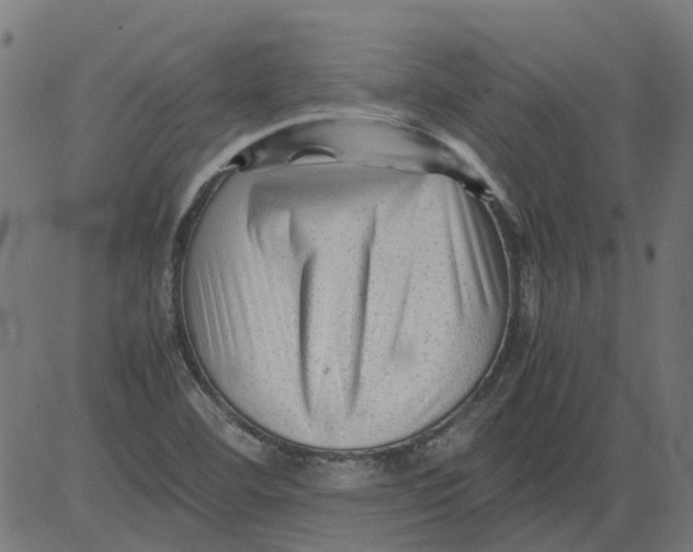 X0000081391460200702020243