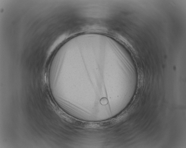 X0000081391462200702020243