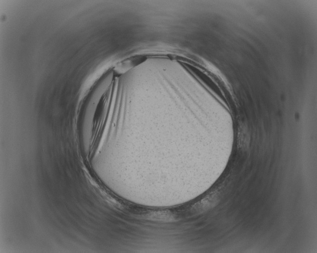 X0000081391464200702020243