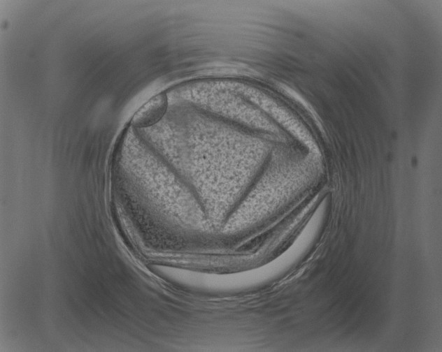 X0000081391467200702020243