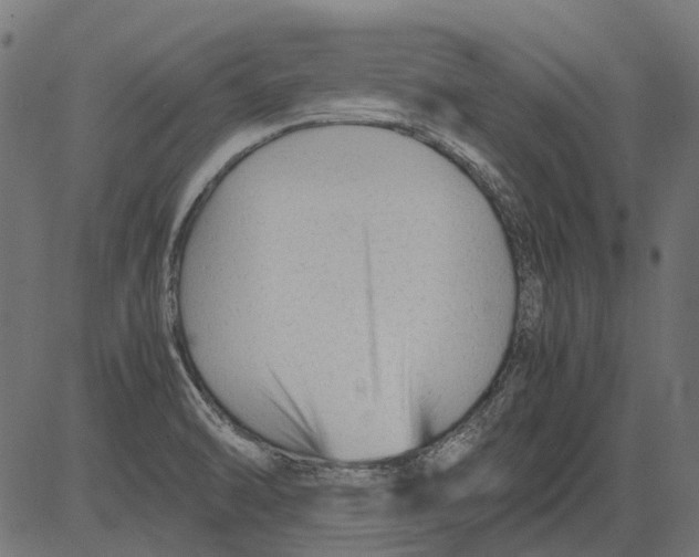 X0000081391470200702020243