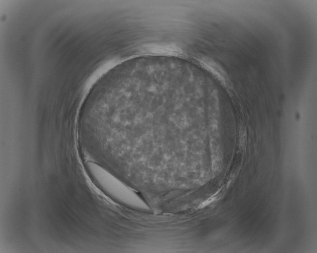 X0000081391471200702020243