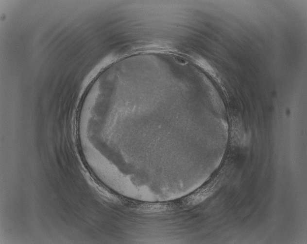 X0000081391474200702020243