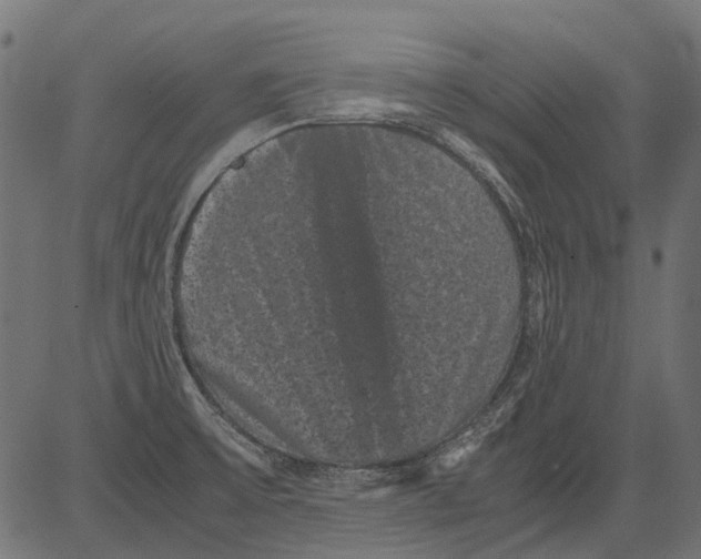 X0000081391475200702020243