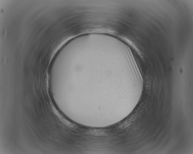 X0000081391476200702020243