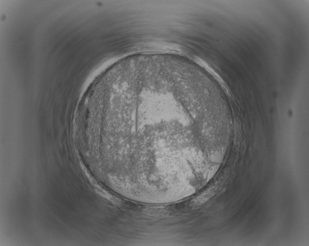 X0000081391477200702020243