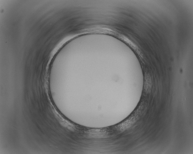 X0000081391478200702020243