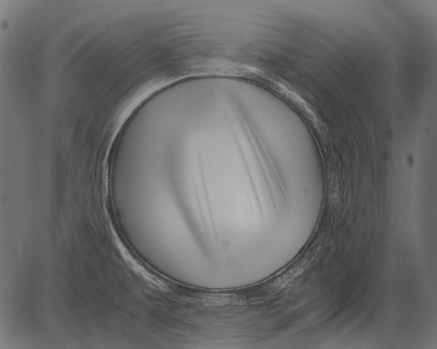 X0000081391479200702020243