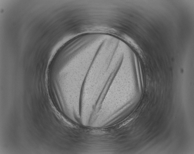 X0000081391480200702020243