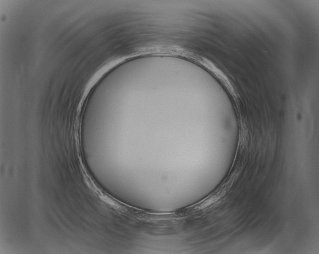 X0000081391486200702020243