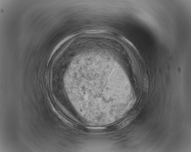 X0000081391487200702020243