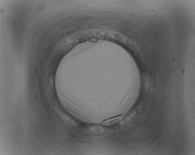 X0000081391489200702020242