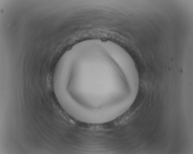 X0000081391490200702020242