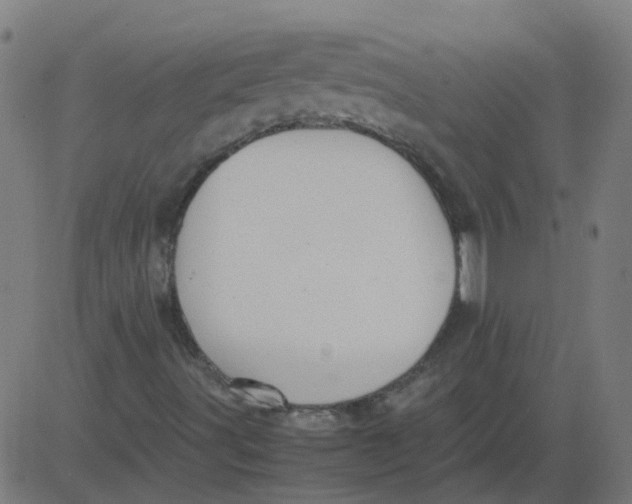 X0000081391491200702020242