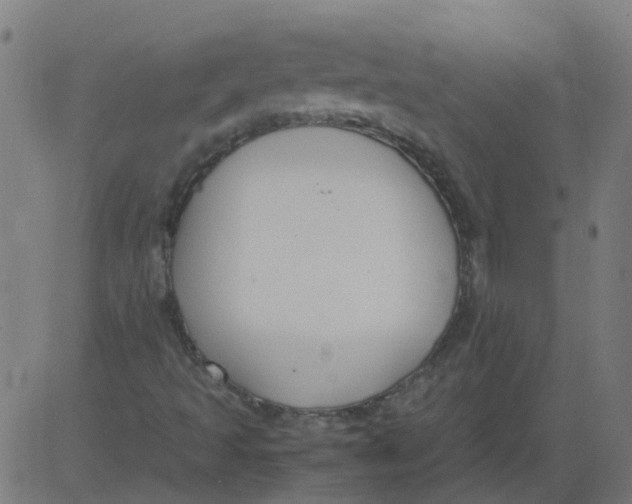 X0000081391493200702020242