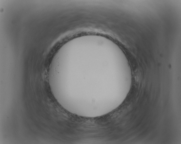 X0000081391495200702020242