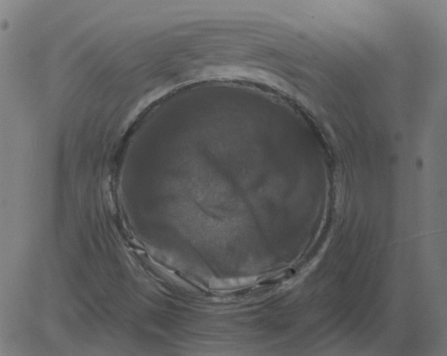 X0000081391497200702020242