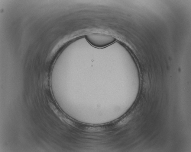 X0000081391499200702020242