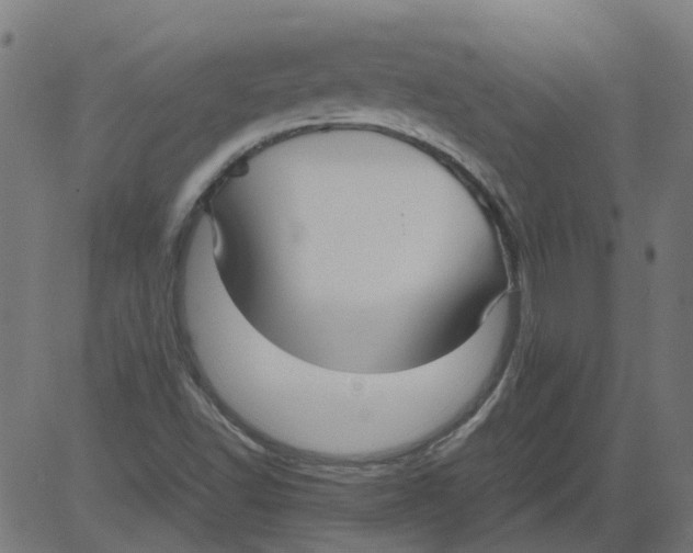 X0000081391502200702020242