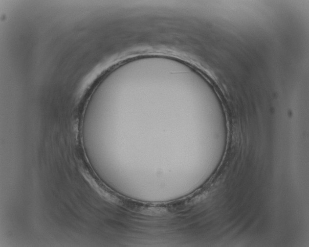 X0000081391503200702020242