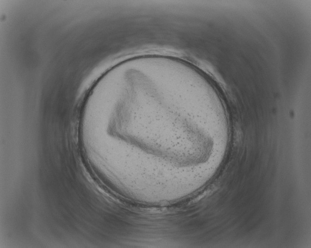 X0000081391504200702020242