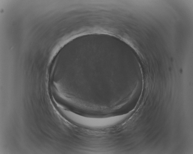 X0000081391508200702020242