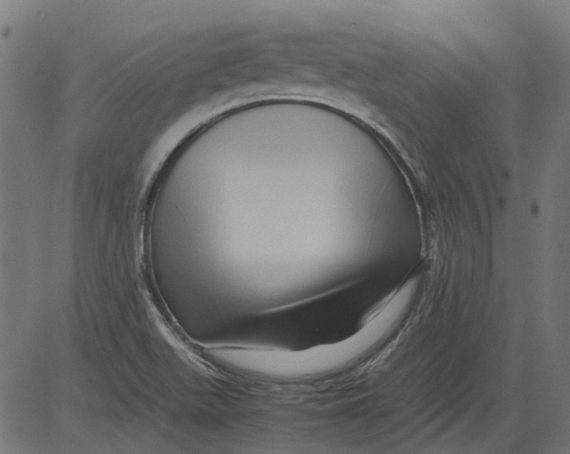 X0000081391511200702020242