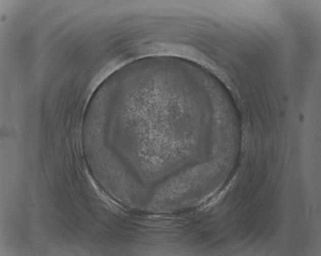 X0000081391513200702020242