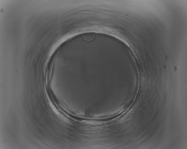 X0000081391515200702020242