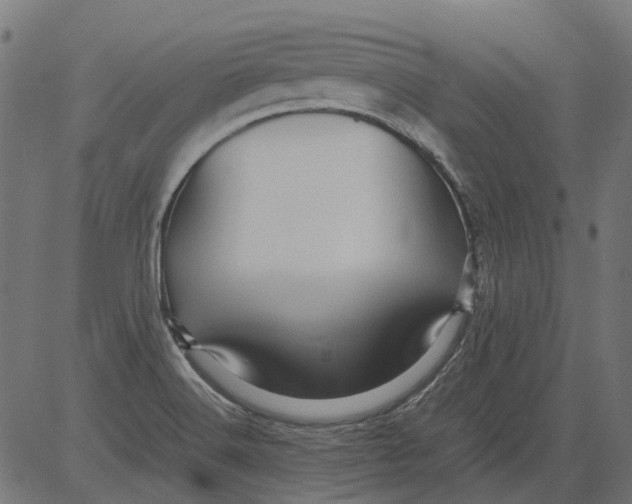 X0000081391516200702020242