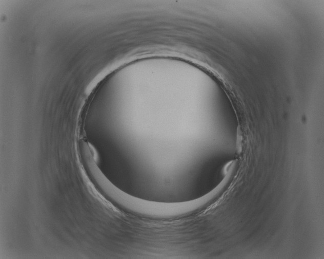 X0000081391518200702020242