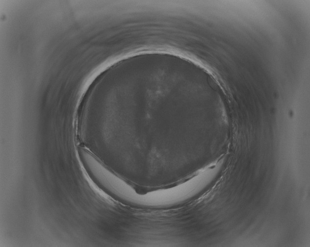 X0000081391519200702020242