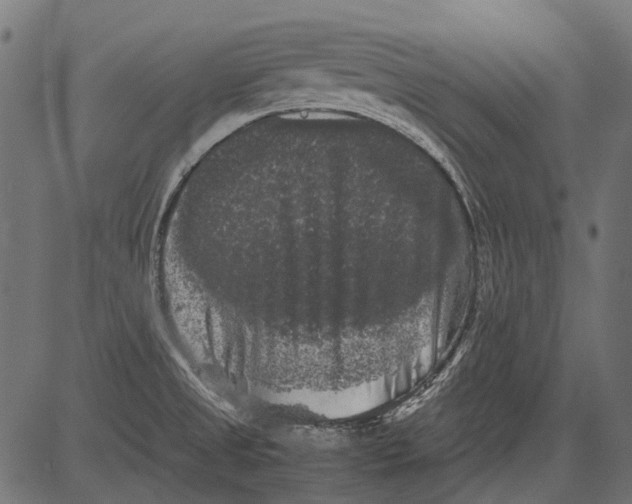 X0000081391525200702020242