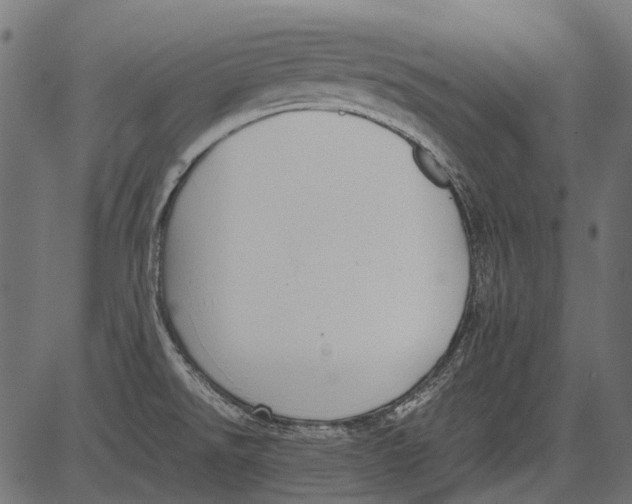 X0000081391526200702020242