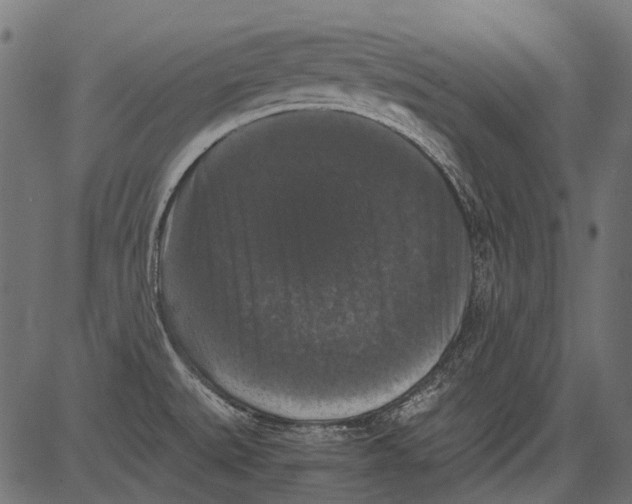 X0000081391527200702020242